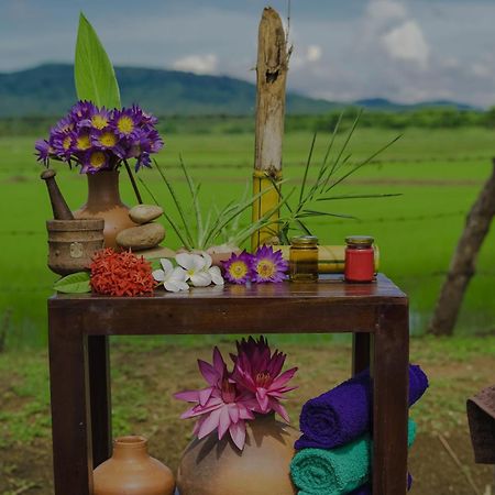 Gaga Bees Yala Villa Tissamaharama Buitenkant foto